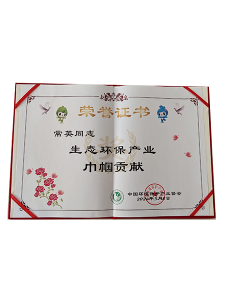 中國環境保護產業協會巾幗貢獻獎 中國環境保護產業協會巾幗貢獻獎
